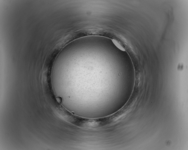 X0000100950217200807081226