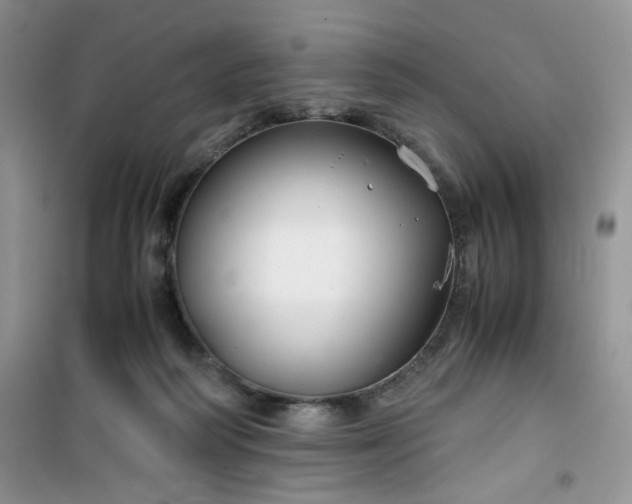 X0000100950218200807081226