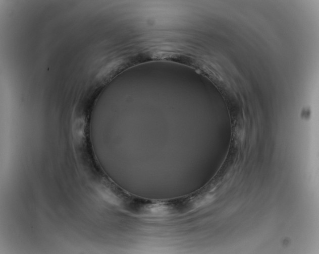 X0000100950219200807081226