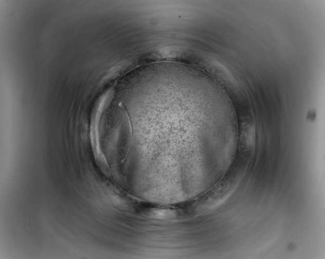 X0000100950220200807081226