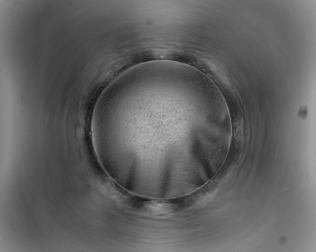 X0000100950221200807081226