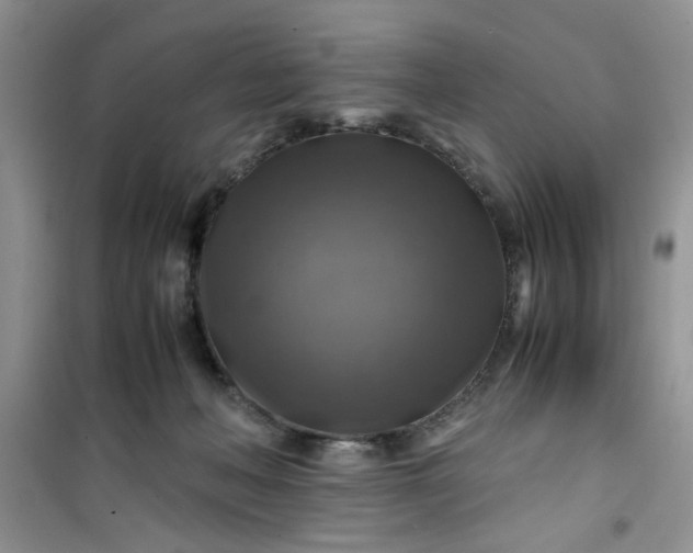 X0000100950222200807081226