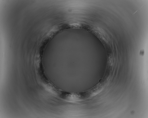 X0000100950223200807081226