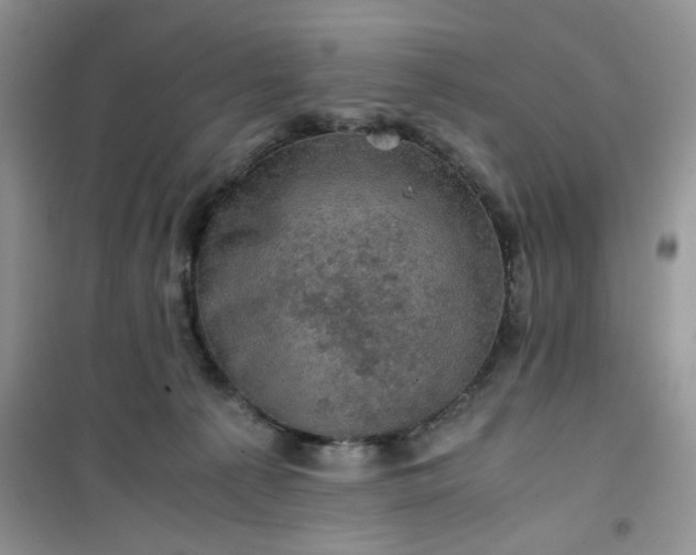 X0000100950225200807081226