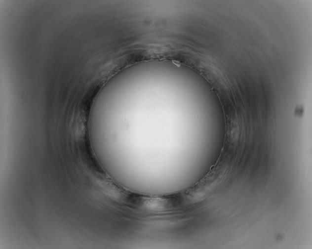 X0000100950226200807081226