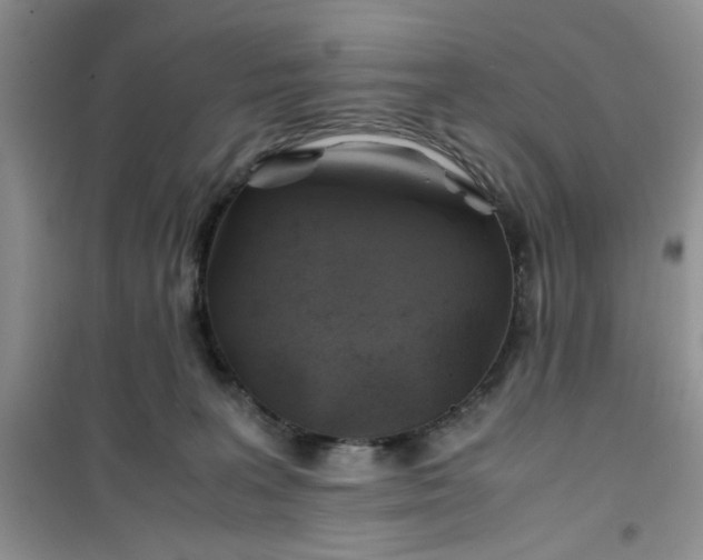 X0000100950227200807081226