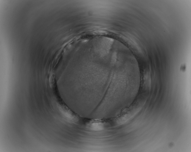 X0000100950228200807081226