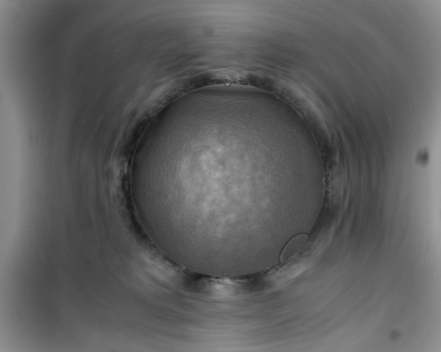 X0000100950229200807081226