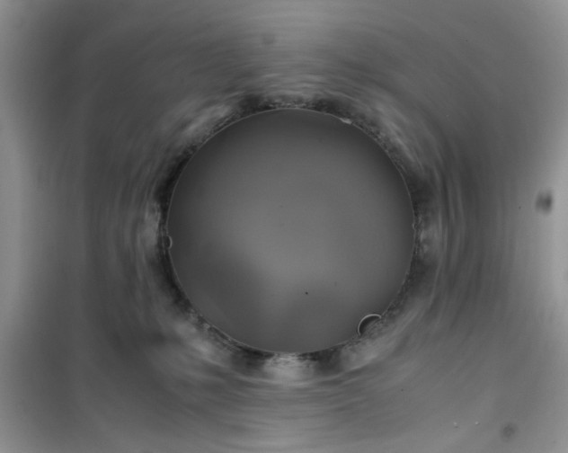 X0000100950231200807081226