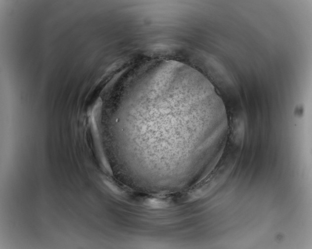 X0000100950232200807081226