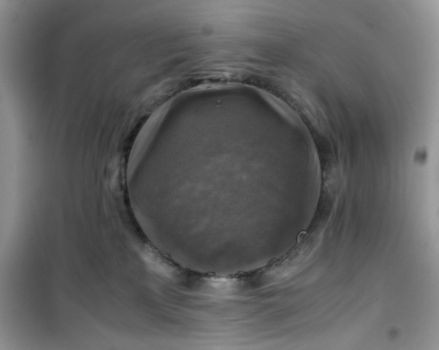 X0000100950233200807081226