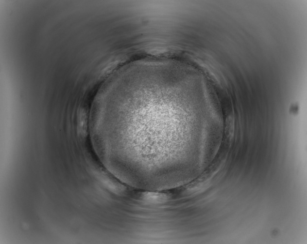 X0000100950234200807081226