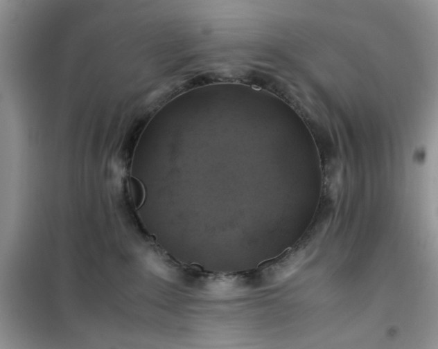 X0000100950235200807081226