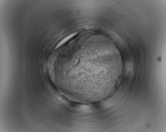 X0000100950236200807081226