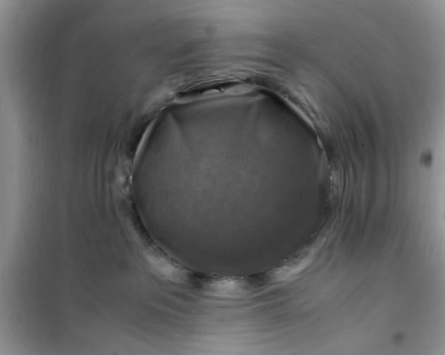 X0000100950237200807081226