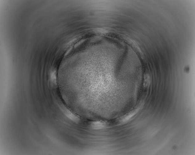 X0000100950238200807081226