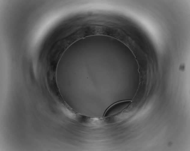 X0000100950239200807081226