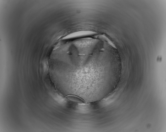 X0000100950240200807081225