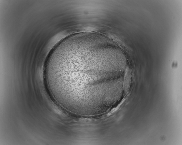 X0000100950242200807081225