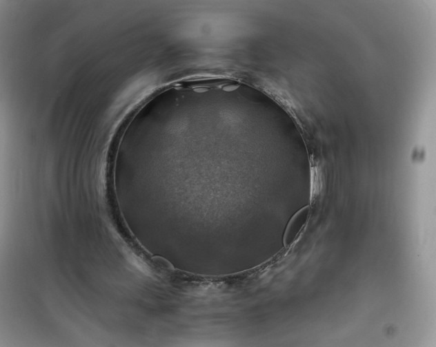 X0000100950243200807081225