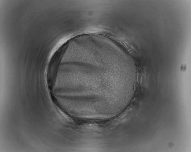 X0000100950244200807081225