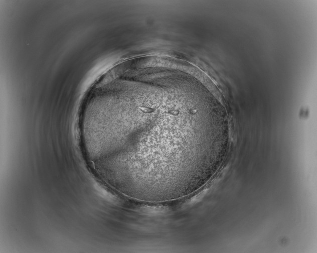 X0000100950245200807081225