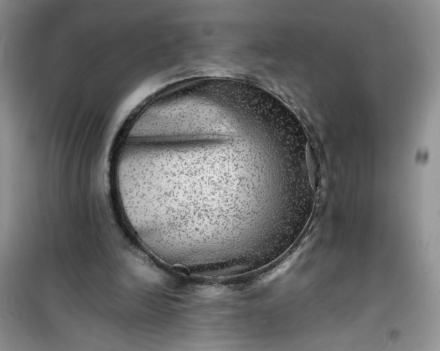 X0000100950246200807081225