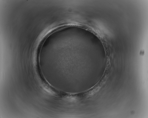 X0000100950247200807081225