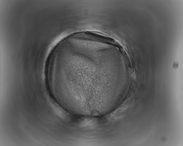 X0000100950248200807081225