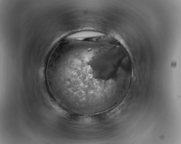 X0000100950249200807081225