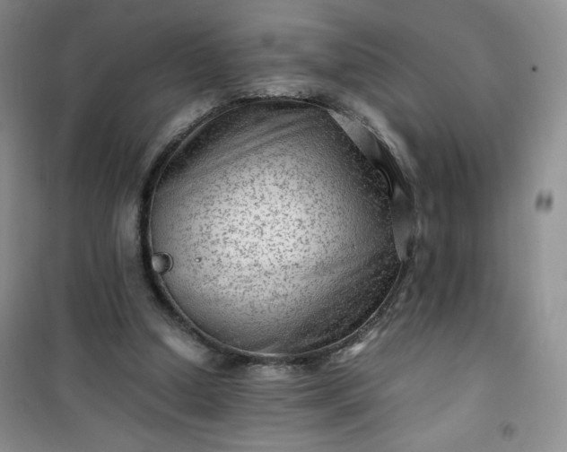 X0000100950250200807081225