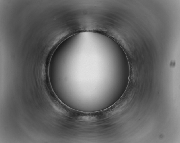 X0000100950251200807081225