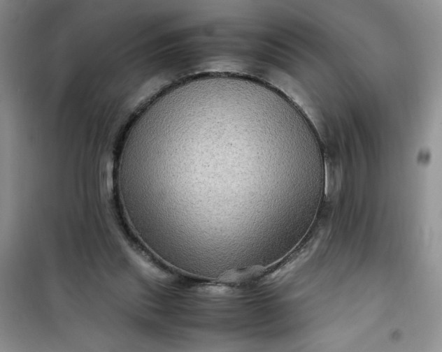 X0000100950253200807081225