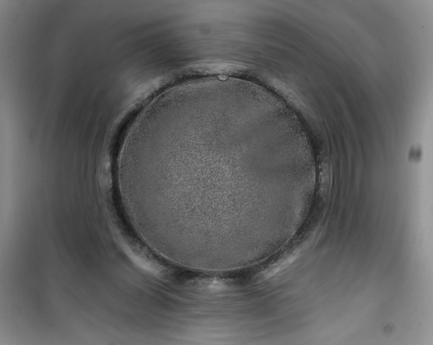 X0000100950254200807081225