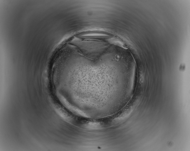 X0000100950256200807081225