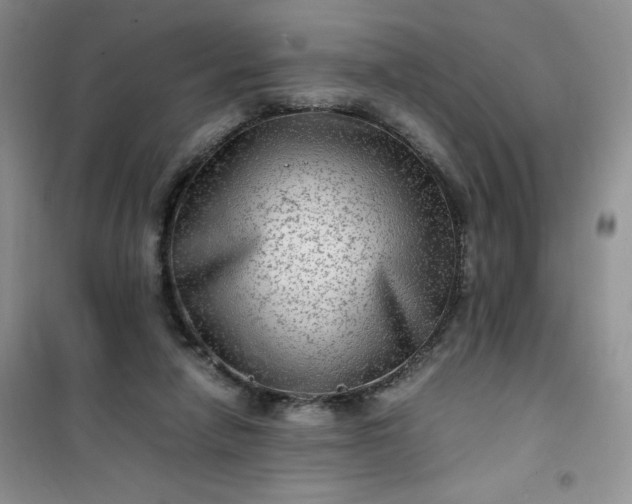 X0000100950258200807081225