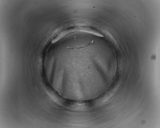 X0000100950260200807081225