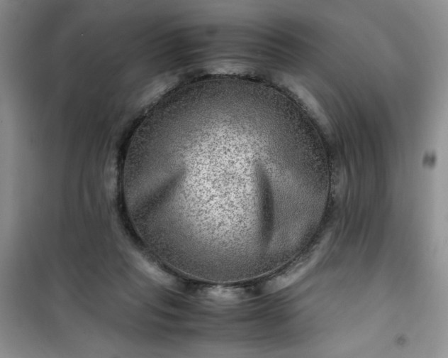 X0000100950261200807081225