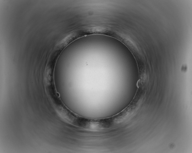 X0000100950264200807081225