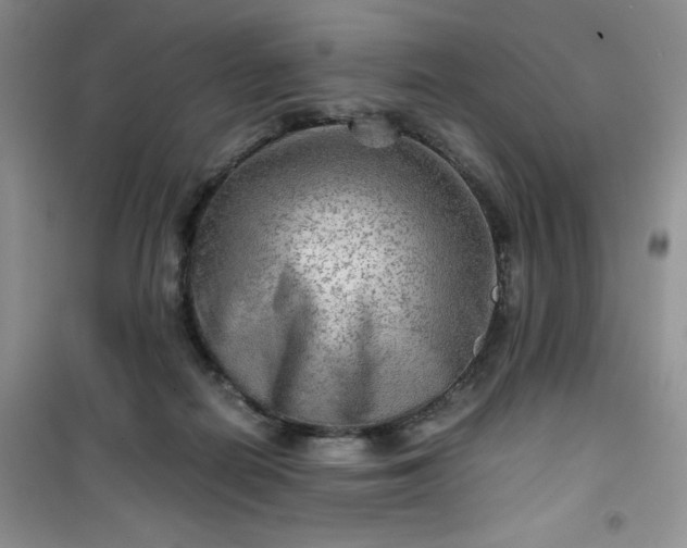 X0000100950266200807081225