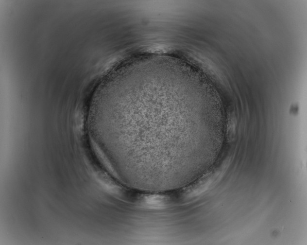 X0000100950268200807081225