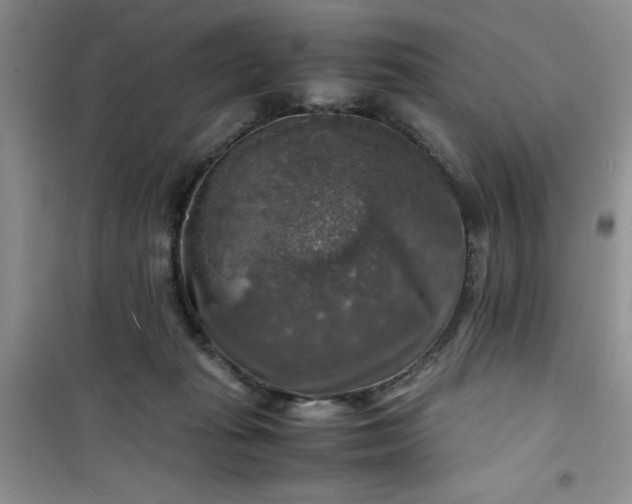 X0000100950269200807081225