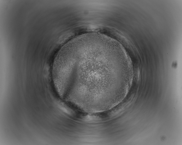 X0000100950270200807081225