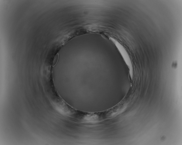 X0000100950271200807081225