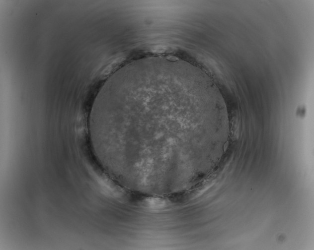 X0000100950272200807081225