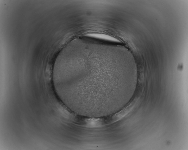 X0000100950273200807081225