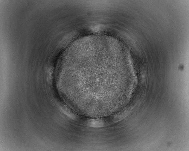 X0000100950275200807081225