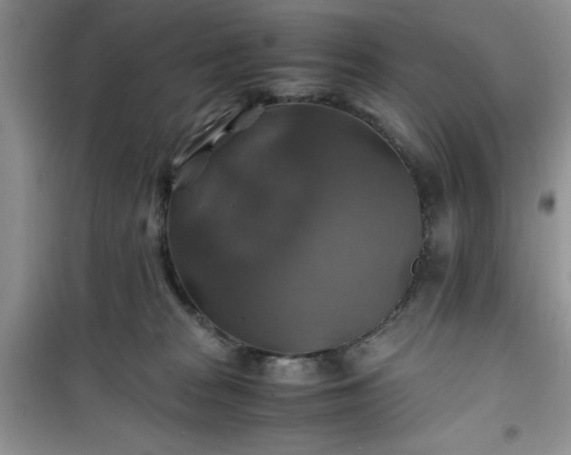 X0000100950277200807081225