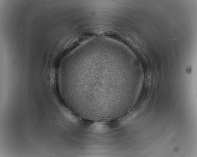 X0000100950280200807081225