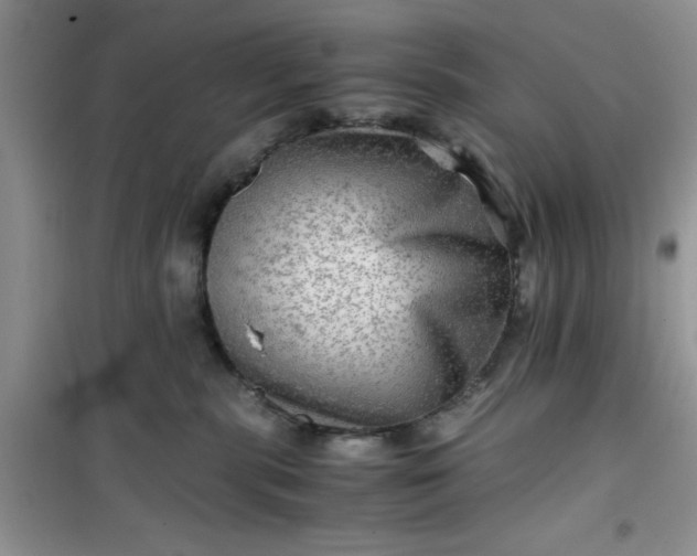 X0000100950283200807081225